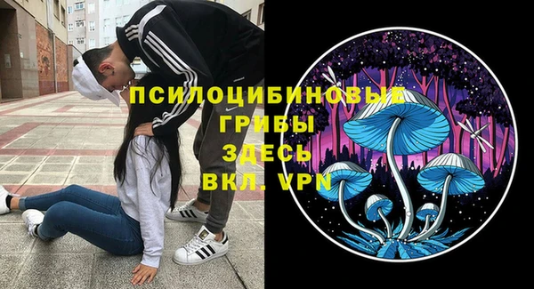 шишки Алексин