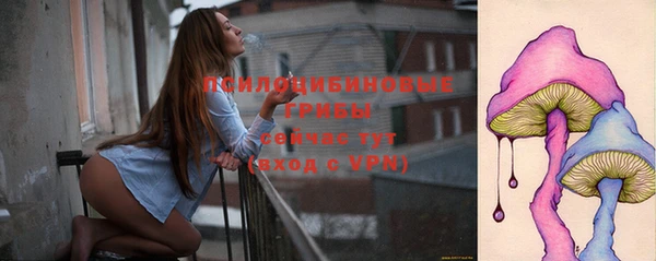 круглые Алексеевка
