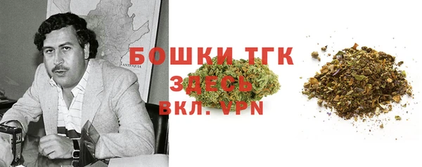 шишки Алексин