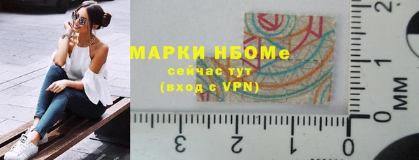 шишки Алексин
