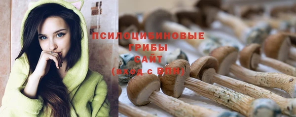 круглые Алексеевка