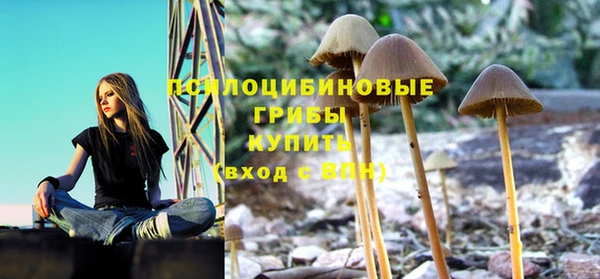 круглые Алексеевка