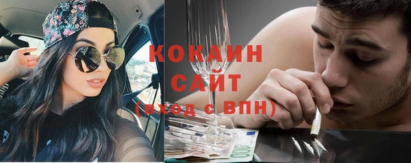 шишки Алексин