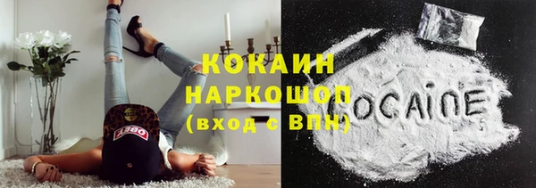 шишки Алексин