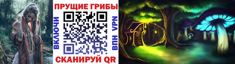 Псилоцибиновые грибы Psilocybe  цены наркотик  Рыбное 